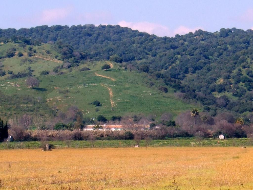 Cuevas Del Pino Turismo Rural Y Emocional Sl Villarrubia Kültér fotó